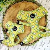 Zesty Butter Meadows Floral Dog Harness